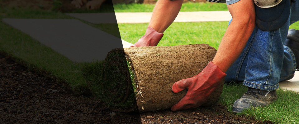 Bassett Landscapers